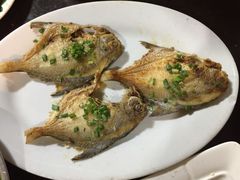 生煎香仓鱼-喜运来大酒店温泉