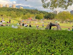 -牛岗山公园