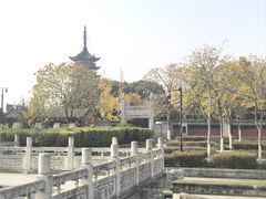 -观潮胜地公园