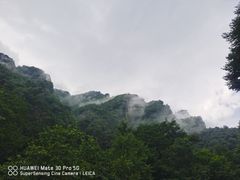 -青峰峡国家森林公园