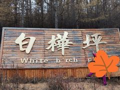 -塞罕坝国家级自然保护区