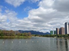 -飞来湖湿地公园
