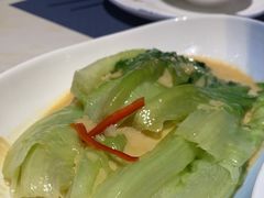 -点都德·毕德寮