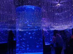 -波塞冬旅游度假区