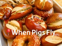 -WHEN PIGS FLY当猪飞