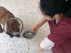 -瑞派康怡24h宠物医院·犬猫医疗中心·微创绝育(瑞景分院)