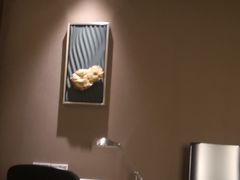 -上海浦东假日酒店