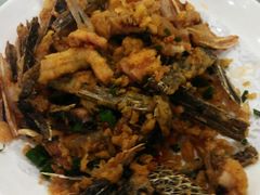 -鲤鱼塘农家山庄