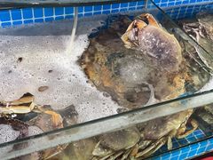 -望海潮海鲜店 特色家常菜(在海一方店)