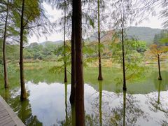 -深圳仙湖植物园