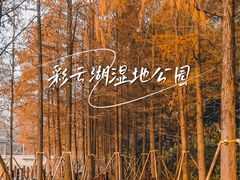 -重庆彩云湖湿地公园