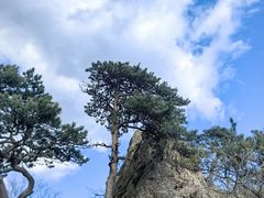 -大连天门山国家森林公园