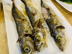 -肥信潮菜(科新路店)