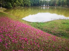 -松山湖风景区松湖烟雨