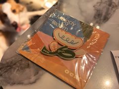 -O'eat Blossom&Pelican(深圳首店)
