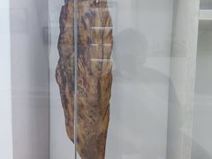 -吉林市博物馆