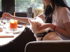 -the rug 飞毯 (朝阳公园店)