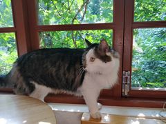 -猫的天空之城概念书店(苏州平江店)