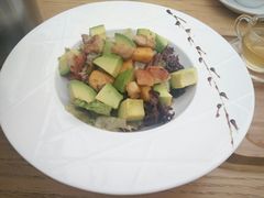 -桉树林A coffee 森林餐厅(三圣乡店)