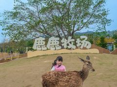 -盈香心动乐园