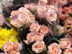 -循礼门鲜花花市(武汉循礼门店)