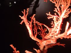 -深圳珠宝博物馆