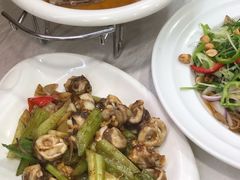 香芹炒鲜鱿-万年酒楼(越秀南路店)