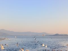 -深圳湾公园(南山区)