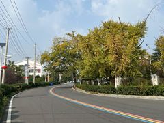 -南京金牛湖风景区