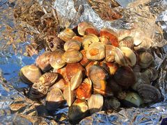 -水韵湾生态农庄