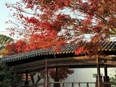 -常熟方塔园