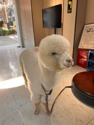 -莫奈庄园·儿童摄影馆·影视基地(江宁店)