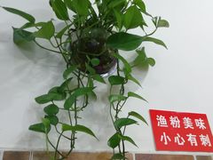 -五谷渔粉(区庄店)
