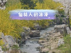 -羊山湖公园
