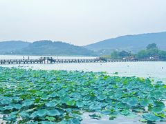 -南北湖风景区