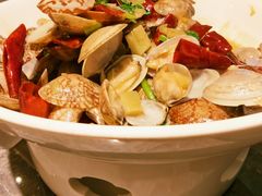 辣炒花蛤-前海沿·海鲜水饺青岛菜(乐客城店)