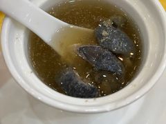 -鸿达渔港