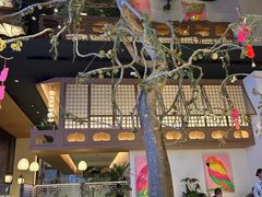 -桂满陇·海市蜃楼·黑金(国金店)