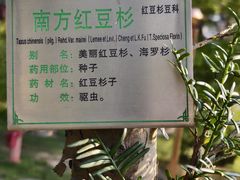 -广州神农草堂中医药博物馆