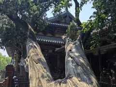 -晋祠博物馆