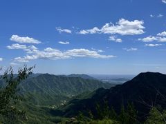-大岭沟猕猴桃谷风景区