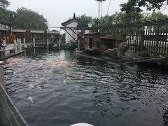 -湖鲜楼