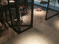 -威尔仕健身·游泳(KING88店)