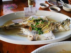 盐水海鲈-八仔大富楼·河鲜(西江店)