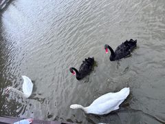 -宁波杭州湾国家湿地公园