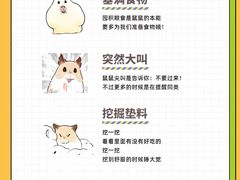 -立德动物医院·24小时中心(番禺区院区)