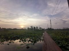-梁鸿国家湿地公园