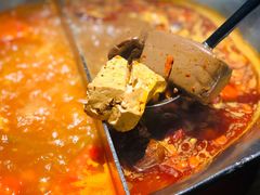 台式麻辣锅-湊湊火锅·茶憩(石家庄万象城店)