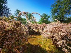 -永定河休闲森林公园