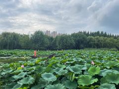 -前关湿地公园